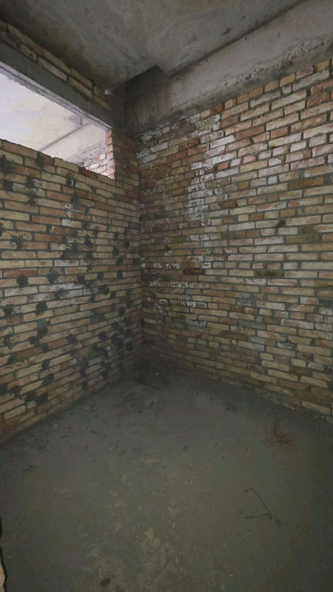 3 комн. квартира