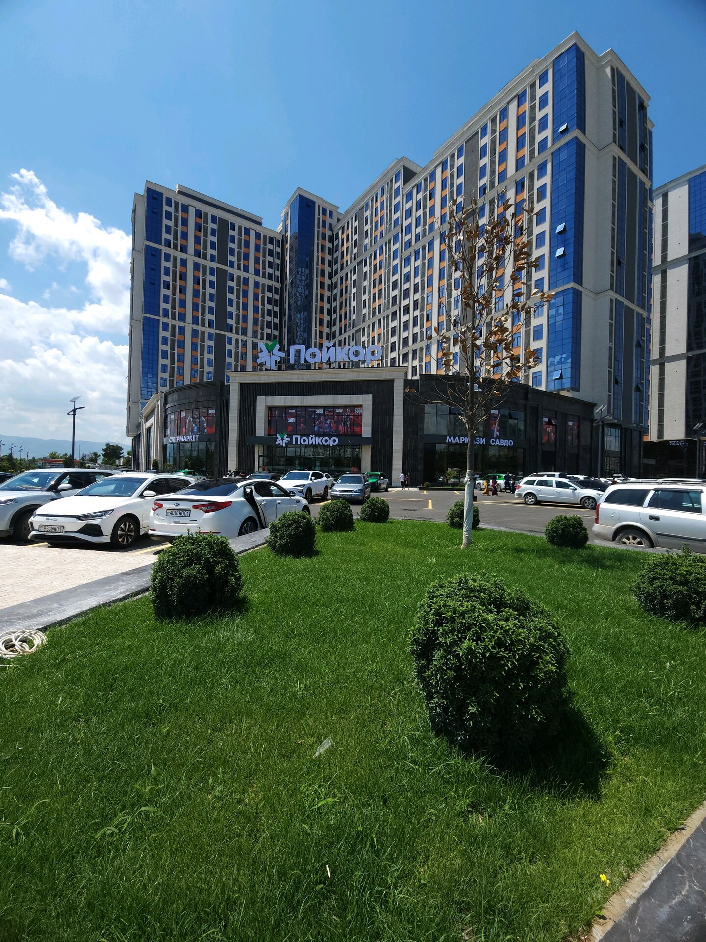 2-комнатная квартира в Душанбе, Фирдавси — фото 2, кухня