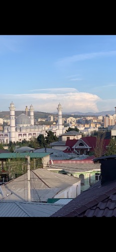 8-комнатный дом в Душанбе, Сино — фото 7, вид участка